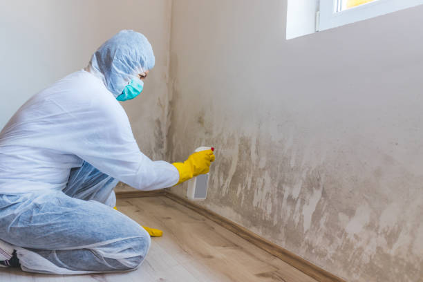 Hvac And Air Duct Mold Remediation inspection of HVAC system in Faulkner