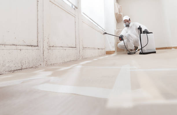 Black mold remediation team in Faulkner